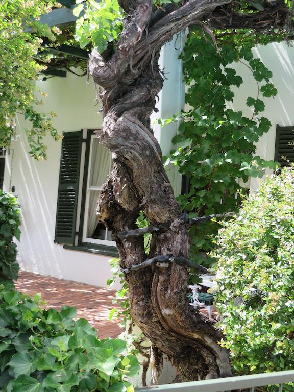 Buiten Verwagten Guest House Graaff-Reinet 외부 사진